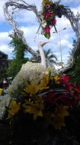 Festa da Flor &ndash; Ribeira Grande 2018 &ldquo;Pico da Pedra&rdquo;